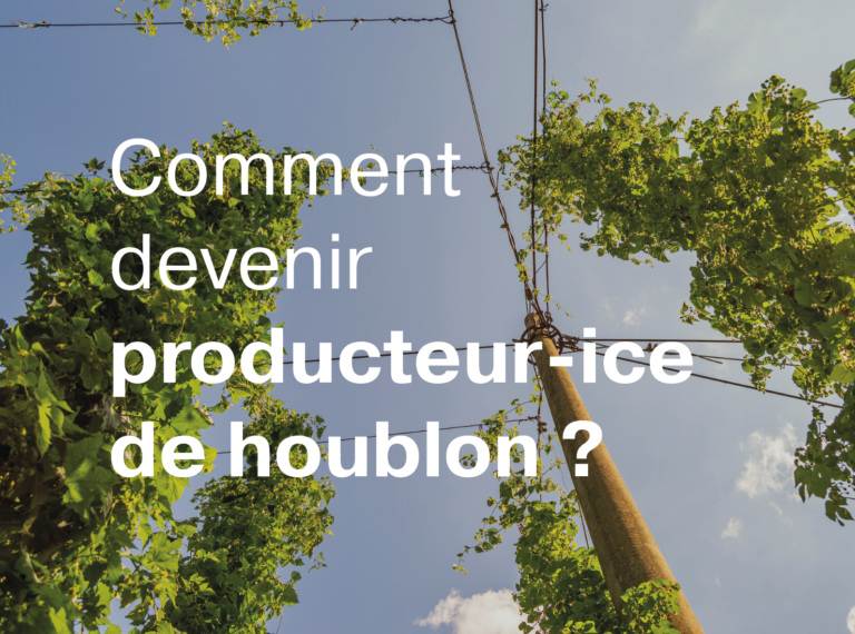 Article comment devenir producteur du houblon ?