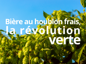 Bière au houblon frais : La révolution verte