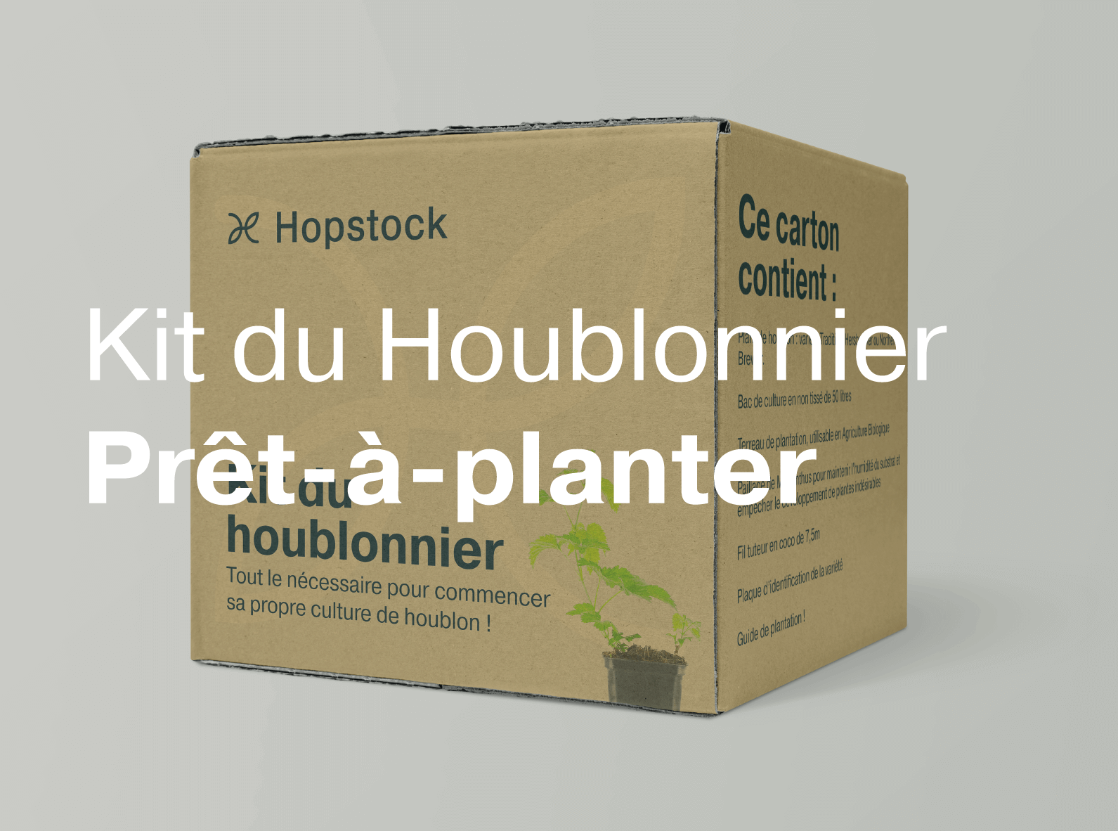 Kit du Houblonnier prêt-à-planter