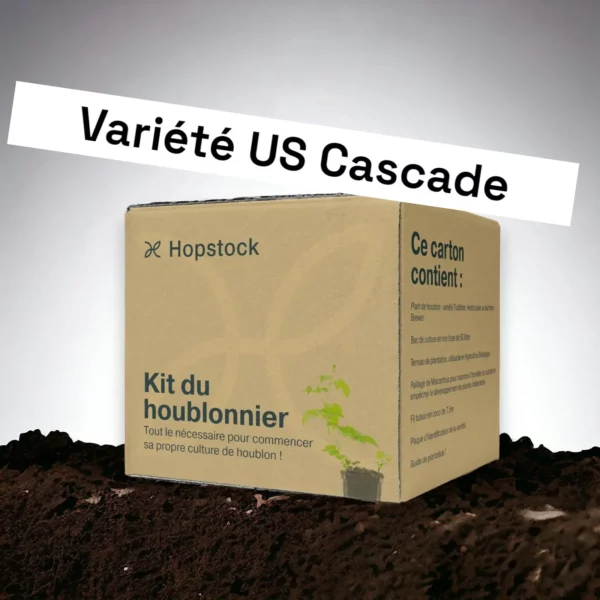 kit houblon cascade